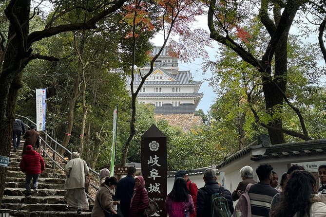2 Hour Private Scenic Mountain Castle Tour in Gifu - Inclusions