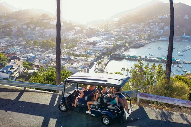 2 Hour Private Tour of Avalon - Local History and Insights