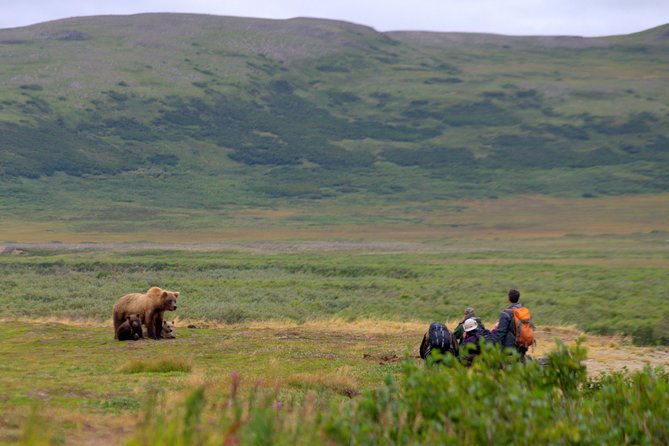 2 Park Bear Viewing Adventure to Katmai and Lake Clark NP - Whats Included in the Tour