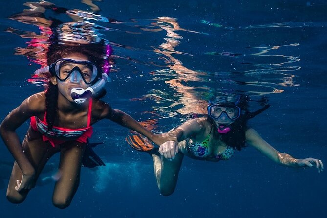 2-Tank Maui Turtle Scuba Dive or Snorkel Boat Tour - Meeting and Pickup Details