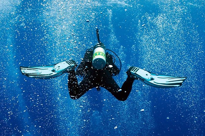 2 Tank Shore Dive at Sea Turtle Cove - Meeting and Check-in Details
