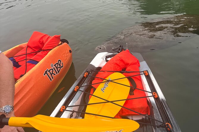 3 Hour Guided Tandem Kayak Adventure - Participant Requirements and Restrictions
