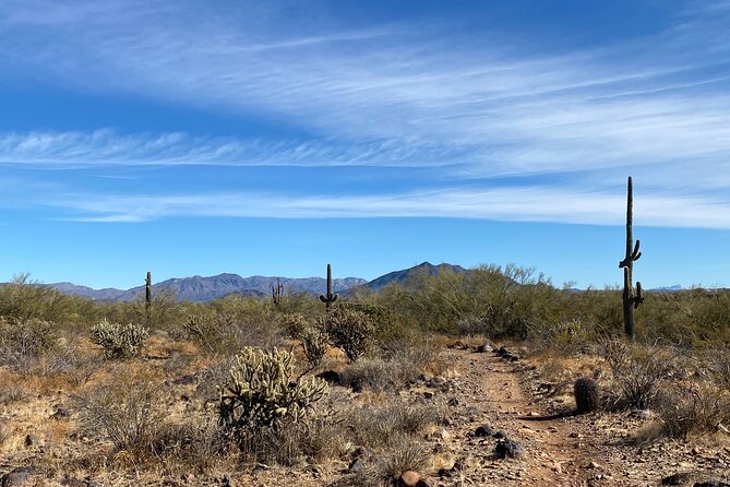 3 Hour Sonoran Desert Private Guided Mountain Bike Tour - Guided Experience and Customization