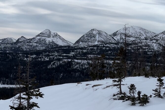 3 Hours Park City Snowmobile Adventure - Highlights of the Adventure