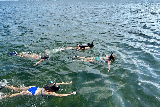 3 Hours Snorkeling Excursion in South Padre Island - Meeting Point and Start Time