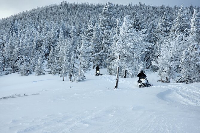 4-Hour Guided Scenic National Monument Snowmobile Tour in Bend - What to Expect During the Tour