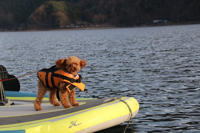 4 Seat Boat Experience on the Lake With a View of Mt. Fuji - Marveling at the Majestic Mount Fuji