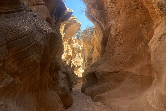 4hr Willis Creek/Bull Valley Gorge/Hoodoos - The Grand Escalante Staircase