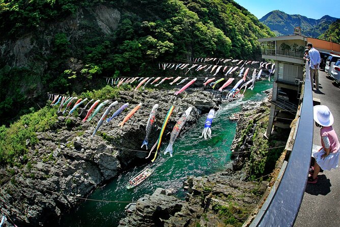 8 Day Private One Way Bus Tour to Fukuoka From Osaka - Kochi: Days 3 & 4