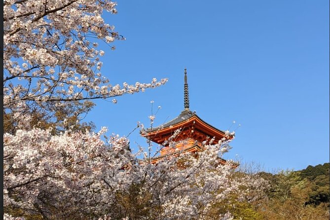 8 Hour Private Tour of Kyoto - Itinerary and Sights