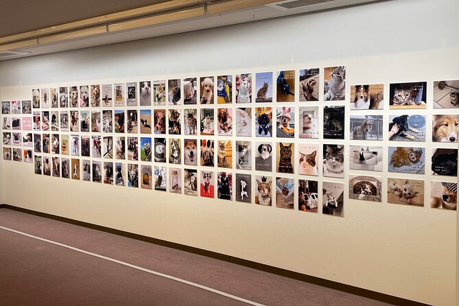 Admission Ticket to Imai Museum, Mizuhiki Exhibition & Cat Dog Photo Exhibition - About Mizuhiki Exhibition