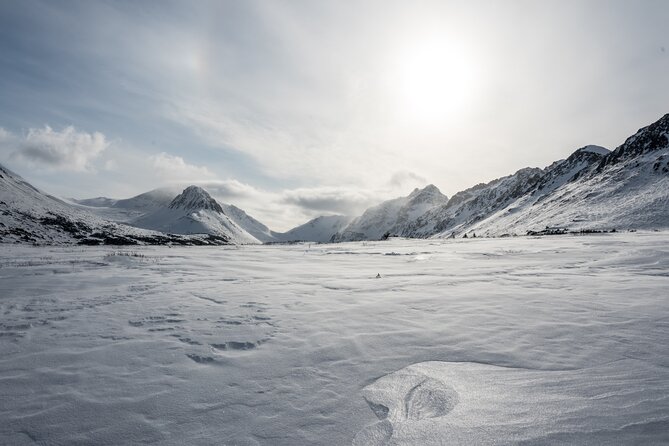 Advanced Snowshoeing Adventure - Meeting Points and Transportation Options