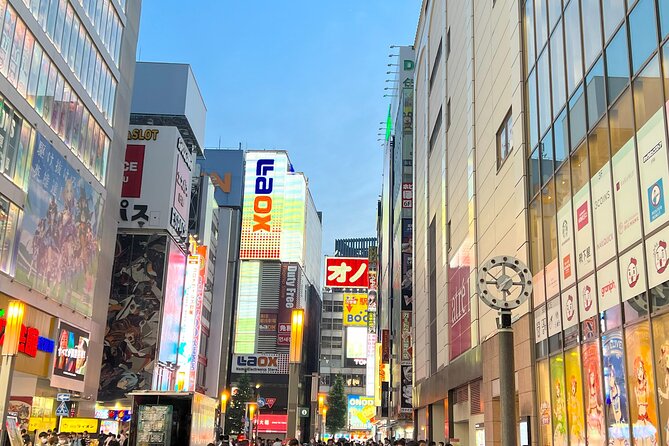 Akihabara Half Day Walking Tour With Otaku Licensed Guide - Meeting and End Points