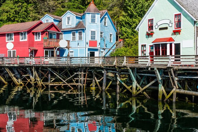Alaska Wildlife Safari and Sightseeing Tour - Comfort and Amenities