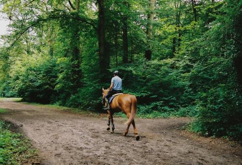 ALFRED HOTELS Compiègne - Amenities and Services