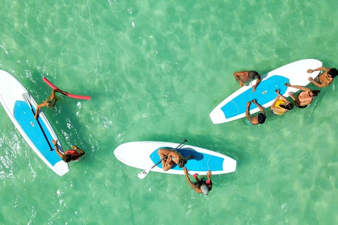 All Inclusive Kayak Eco-Tour: Mangrove and Sandbar Adventure - Wildlife Sightings and Encounters