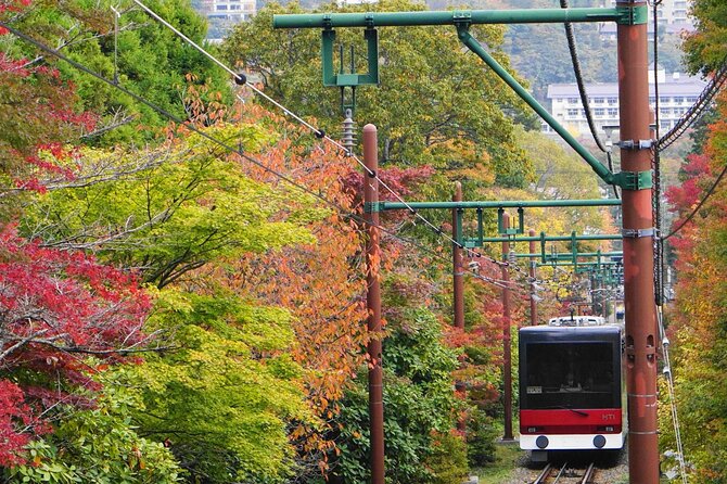 All Inclusive・Private Tour Make Your Own Adventure in Hakone - Accessibility and Participation