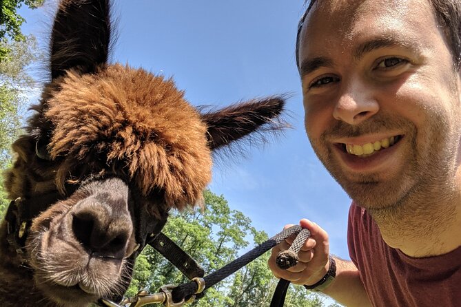 Alpaca and Llama Trek in Pleasant Valley - Accessibility and Participation Guidelines