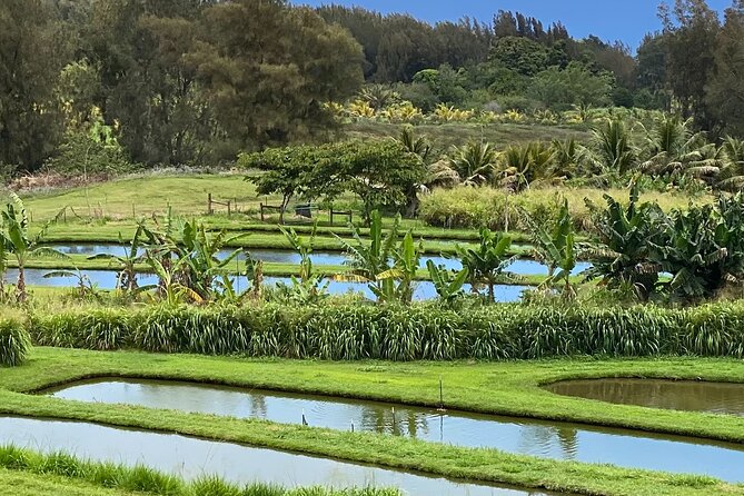 ATV Ranch Ride Big Island Hawaii - Guest Reviews and Highlights