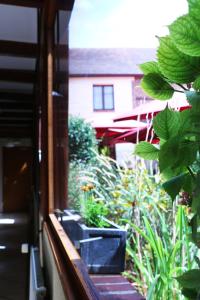 Auberge De La Vieille Ferme - Amenities and Facilities