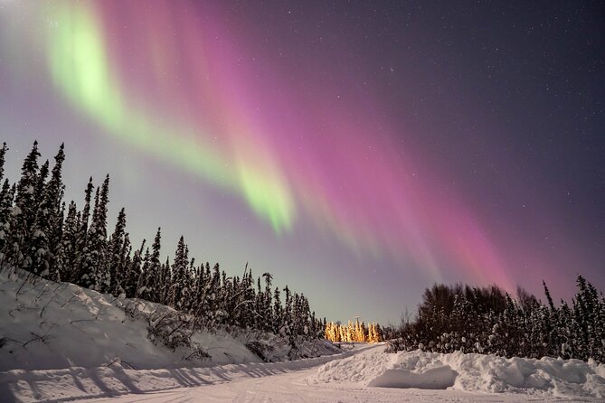 Aurora Chasing Tour With Free Photography - Traveler Reviews and Feedback