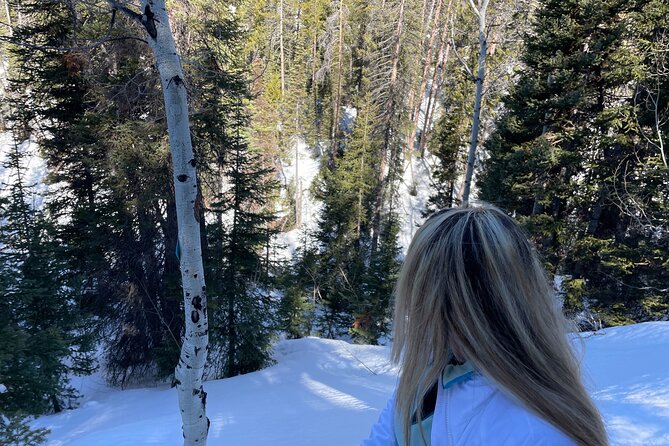 Backcountry Snowshoeing in Pristine Utah Mountains - Highlights of the Private Tour