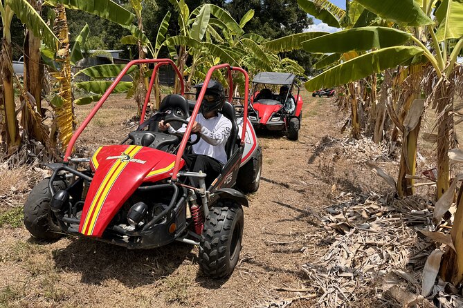 Bamboo Dune Buggy Tour - Customer Feedback and Reviews