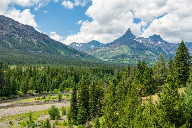 Beartooth Highway Private Half Day Tour - Wildlife Spotting Opportunities