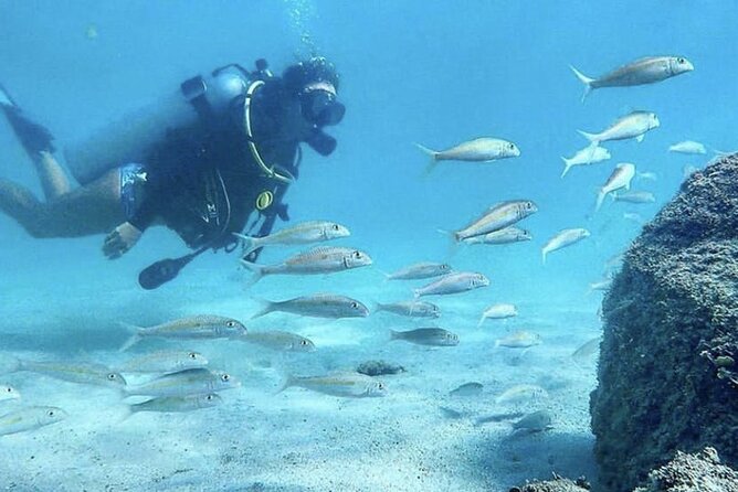 Beginner Scuba Diving Experience With Videos in West Palm Beach - Scuba Diving Equipment and Inclusions