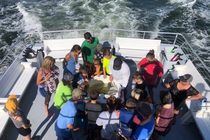 Big Fun Dolphin Cruise & Sealife Experiece ORANGE BEACH ALABAMA - Meeting and Pickup Information