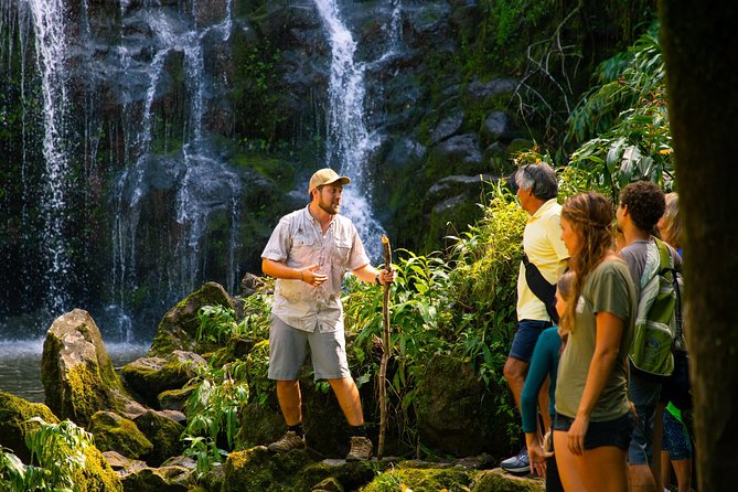Big Island Kohala Zip and Dip Tour From Kona - Physical Requirements and Health Restrictions
