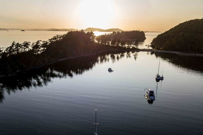 Bioluminescence and Sunset Kayak Tour in the San Juan Islands - Participation Requirements