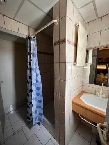 BRIT HOTEL LE VESOUL Review