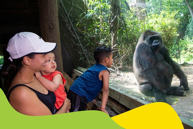 Bronx Zoo Admission Ticket - Accessibility and Visitor Information