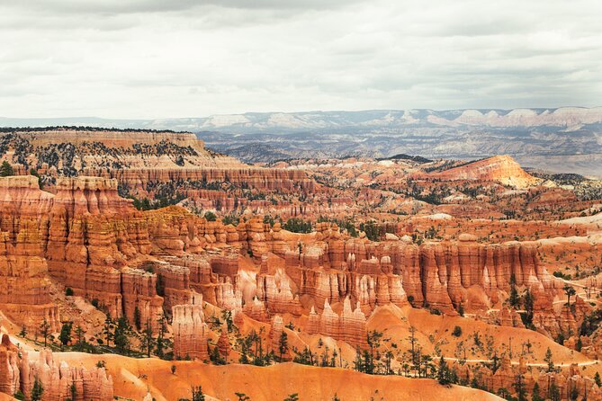 Bryce Canyon Full Day Private Tour and Hike - Nature, Flora, and Fauna of Bryce Canyon