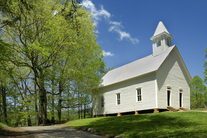 Cades Cove Sightseeing Self-Guided Driving Audio Tour - Encountering Wildlife in Cades Cove