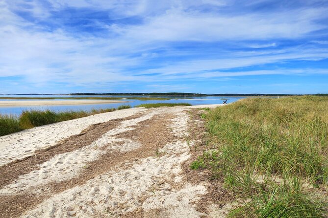 Cape Cod Self-Guided Driving Audio Tour - Accessibility and Limitations