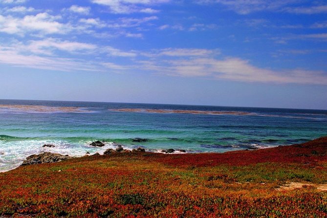 Carmel / Monterey Hwy 1 Tour - Highlights of the 17-Mile Drive