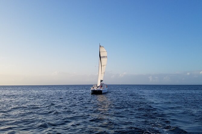 Catamaran Sailing Cruise in Monterey - Meeting Point and Logistics
