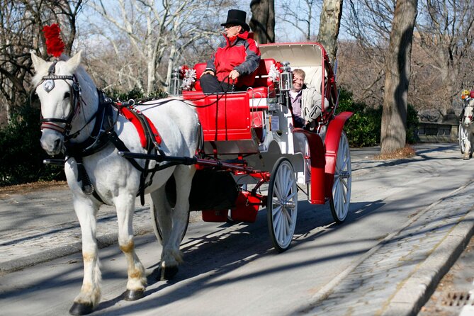 Central Park and NYC Private Horse Carriage Ride - Customer Feedback
