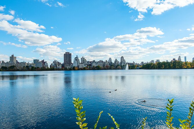 Central Park Pedicab Tour / Photo Stops - Navigating the Scenic Paths