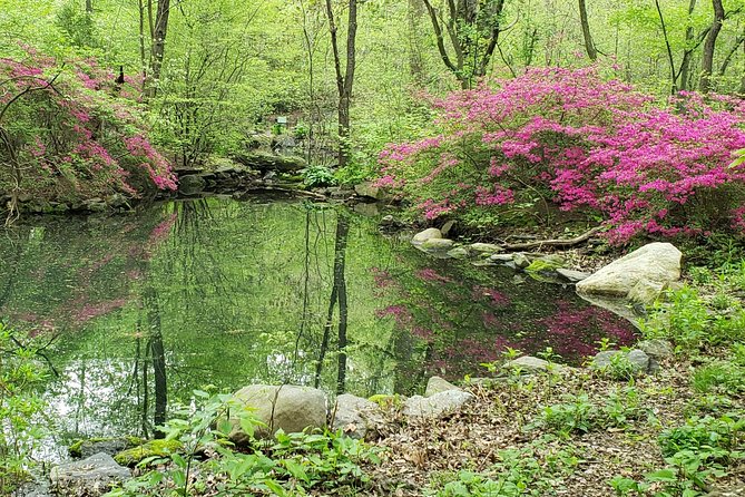 Central Park Walking Tour - Traveler Reviews and Feedback