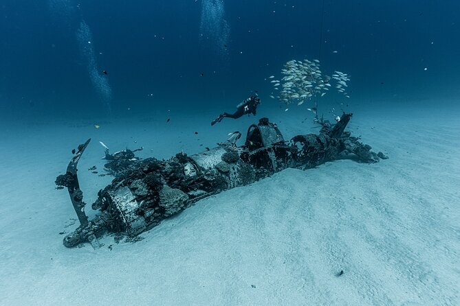 Certified Scuba Diving Experience in Honolulu - Schedule and Pricing Details