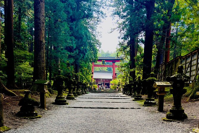 Cherry Blossom Mount Fuji Customizable Luxury Vehicle Guided Tour - Accessibility