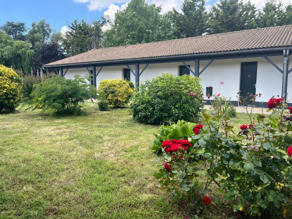 CitHotel Les Eleis - Dining Experience