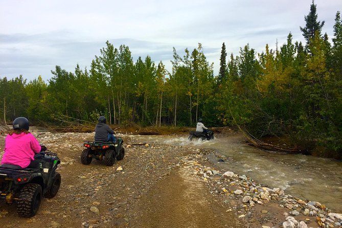 Classic ATV Adventure With Back Country Dining - Dining Experience