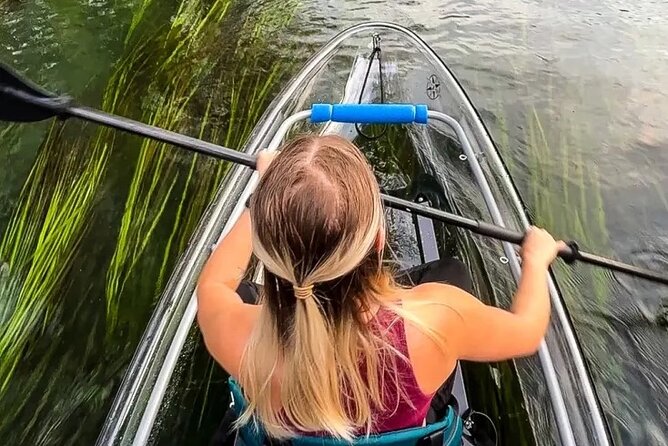 Clear Kayak Day Adventure Tour in San Marcos - What to Expect