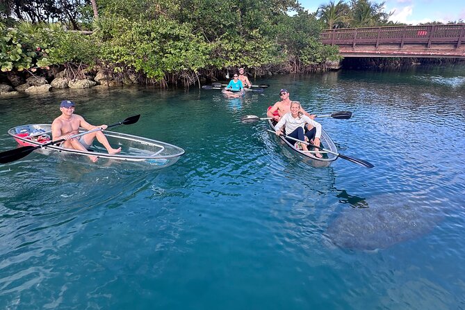 Clear Kayak Peanut Island Guided Tour Palm Beach Singer Island - Accessibility and Participant Requirements