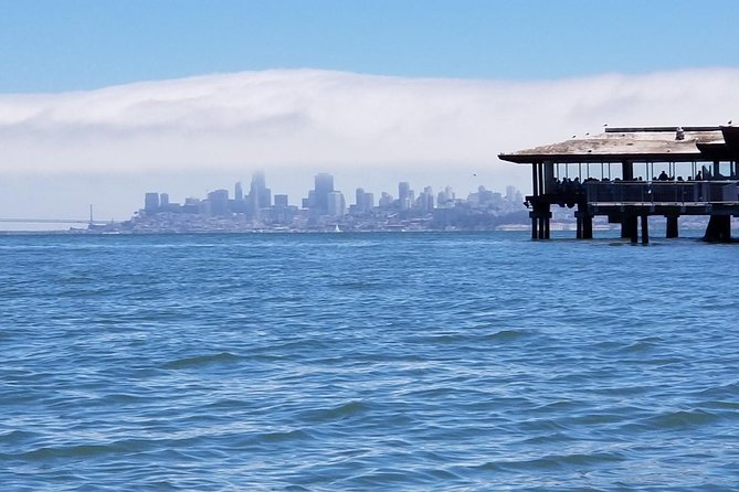 Combo Small-Group Tour: SF City Plus Muir Woods & Sausalito - Muir Woods National Monument