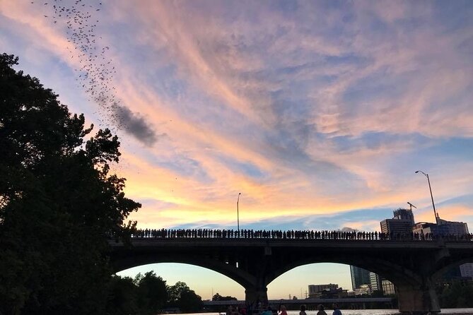 Congress Avenue Bat Bridge Kayak Tour in Austin - Reviews and Experiences